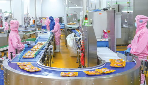 皇家小虎華北 超級工廠 一季度銷售額達四億元